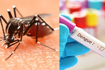 தமிழகத்தில் கடந்த 8 நாட்களில் 273 பேர் டெங்குவால் பாதிப்பு - பொது சுகாதாரத் துறை தகவல்!