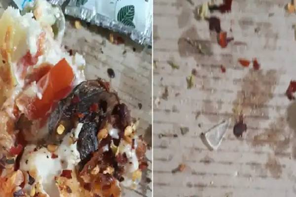 பீட்சாவில் கண்ணாடித் துண்டுகள் : மீண்டும் சர்ச்சையில் சிக்கிய டோமினோஸ் | Glass Shards Dominos Pizza பீட்சாவில் கண்ணாடித் துண்டுகள் : மீண்டும் சர்ச்சையில் சிக்கிய டோமினோஸ் | Glass Shards Dominos Pizza