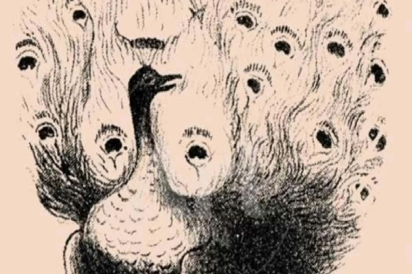 படத்தில் மறைந்திருக்கும் மனித முகத்தை கண்டுபிடிக்க முடியுமா? | Optical Illusion Can Spot The Hidden Face படத்தில் மறைந்திருக்கும் மனித முகத்தை கண்டுபிடிக்க முடியுமா? | Optical Illusion Can Spot The Hidden Face