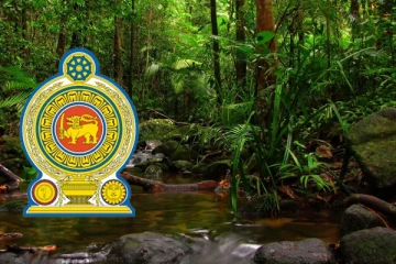 சிங்கராஜா வனப்பகுதியில் ஆரம்பிக்கப்பட்டுள்ள விசேட நடவடிக்கை