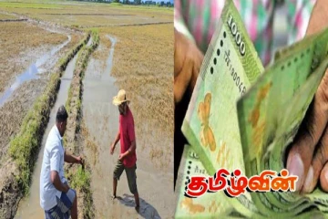 திருகோணமலை விவசாயிகளுக்கு 1,001 மில்லியன் ரூபா நஷ்ட ஈடு வழங்கிவைப்பு