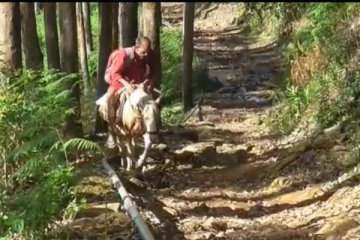 கொரோனா தொற்று என்ன என்றே தெரியாமல் வாழும் மலைகிராம மக்கள் - யார் அவர்கள்? பொதுமக்கள் அதிர்ச்சி!