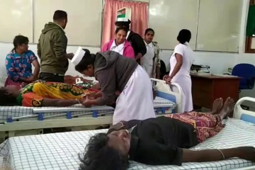 பொகவந்தலாவயில் தோட்டத் தொழிலாளர்கள் மீது குளவி தாக்குதல்