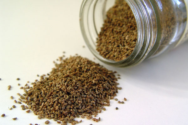 தினசரி பாலுடன் இந்த விதைகளை உண்பதால் கிடைக்கும் நன்மைகள்! | Milk And Seeds Benefites