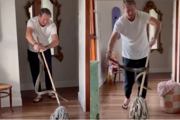 அவுஸ்திரேலிய கிரிக்கெட் வீரர் வீட்டிற்குள் புகுந்த மலைப்பாம்பு; என்ன செய்தார் தெரியுமா?