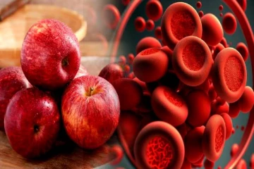 உங்களுக்கு இரத்தம் ரொம்ப கம்மியா இருக்கா..? ஹீமோகுளோபினை அதிகரிக்கும் உணவுகள் இதோ!!