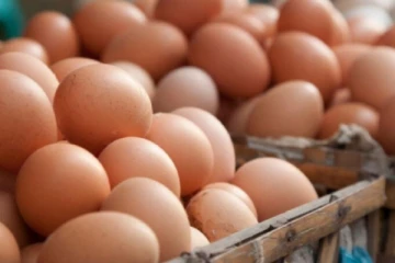 ජපානයේ අවන්හල් බිත්තර යොදා ආහාර සැකසීම නවතා දමයි..