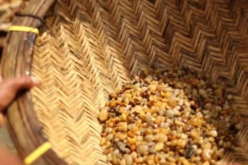 மாணிக்கக்கல் அகழ்வில் ஈடுபட்ட இருவர் சிக்கினர்