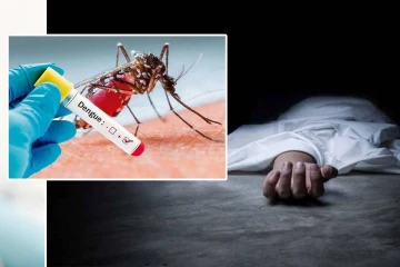 நாட்டில் தீவிரமடையும் டெங்கு காய்ச்சல்! அதிகரிக்கும் மரணங்கள்
