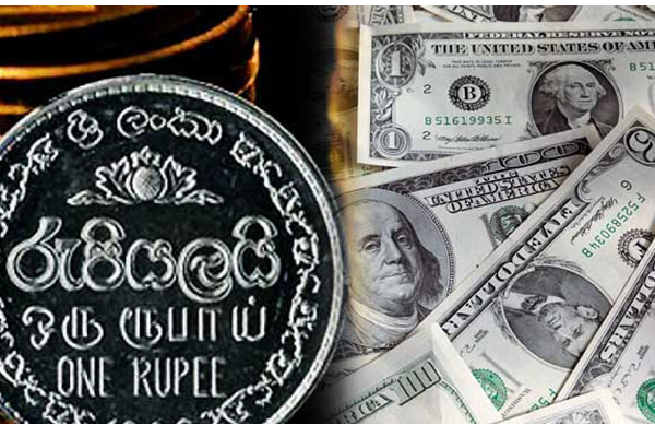 இலங்கையில் இன்றைய டொலர் பெறுமதி! | Today S Dollar Value In Sri Lanka
