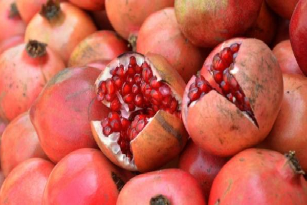 இலங்கையில் கண்டுபிடிக்கப்பட்ட இரண்டு மாதுளை இனங்கள் | Successful Results 2 Pomegranate Varieties Tested