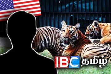 மன ஆறுதலுக்காக செய்த காரியம்: அமெரிக்கருக்கு நேர்ந்த கதி