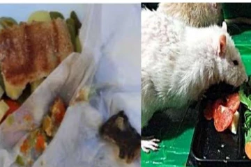 காய்கறி என நினைத்து எலியின் தலையை சாப்பிட்ட நபர் - அதிர்ச்சி தகவல்