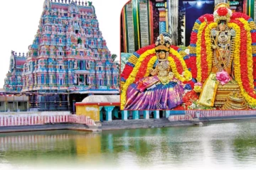 மாலையில் இருந்த தலைமுடி, தண்டிக்க எண்ணிய மன்னன், தலைமுடியுடன் காட்சியளித்த பெருமாள்