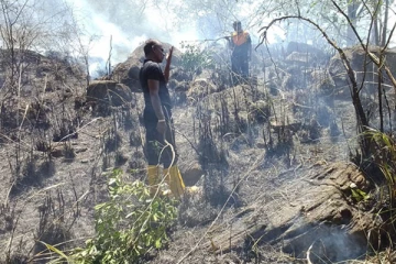 பலாங்கொடை வனப்பகுதியில் ஏற்பட்ட தீயை கட்டுப்பாட்டுக்குள் கொண்டு வந்த இராணுவம்