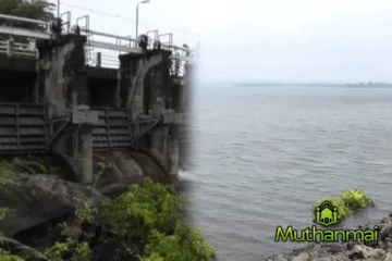 கந்தளாய் குளத்தின் நீர் மட்டம் அதிகரிப்பு! பொதுமக்களுக்கு வழங்கப்பட்டுள்ள அறிவுறுத்தல்