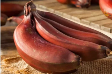 ஏராளமான சத்துக்கள் அடங்கியுள்ள செவ்வாழை ! எந்தெந்த நோய்களை தீர்க்க உதவும் தெரியுமா?