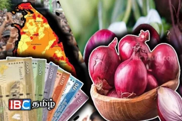 பெரிய வெங்காயத்தின் விலை தொடர்பில் வெளியான தகவல்