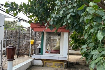 கச்சதீவில் திடீரென முளைத்த பௌத்தவிகாரை!
