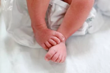 மருத்துவமனை கழிப்பறையில் பிறந்த குழந்தையை நாய் கவ்வி செல்லும் புகைப்படம் வெளியாகி அதிர்ச்சி