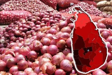 நாட்டில் வெங்காய இறக்குமதியில் பாரிய மோசடி - சூறையாடப்படும் மக்களின் பணம்