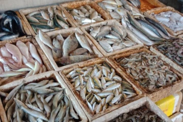 අඩු මිලට මාළු ගන්න පුළුවන් අලුත් ජාලයක්..