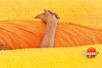 උඩු මහලින් වැටී හිමි නමක් අපවත් වෙයි