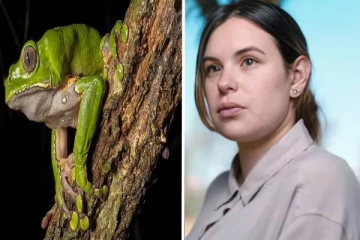 தவளை விஷத்தால் நடந்த விபரீதம்.. இளம் நடிகையின் மரணத்திற்கு என்ன காரணம்?