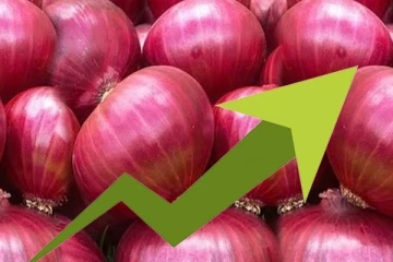 அதிகரிக்கவுள்ள பெரிய வெங்காயத்தின் விலை - செய்திகளின் தொகுப்பு