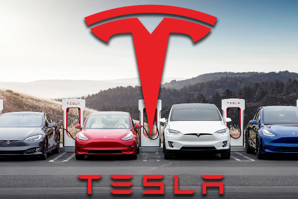 நிறுவனம் வங்குரோத்து அடைந்து விடுமா என அஞ்சும் எலான் மாஸ்க் | Elon Musk Tesla Losses Bankruptcy