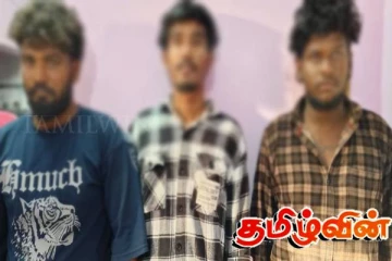 இலங்கைக்கு கடத்தபப்படவிருந்த வலி நிவாரணி மாத்திரைகள் பறிமுதல்!