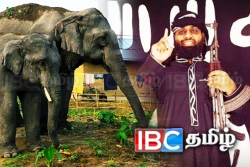 ஈஸ்டர் தாக்குதல் சூத்திரதாரியின் நிலத்திற்கு படையெடுத்துள்ள காட்டு யானைகள்!