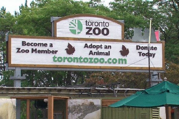 கனடாவில் உள்ள மிருகக் காட்சிசாலைக்கு ஏற்பட்ட நிலை! | Toronto Zoo Closing Bird Aviaries After Bird Flu