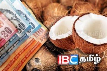 தேங்காய் விலையில் ஏற்பட்டுள்ள மாற்றம்