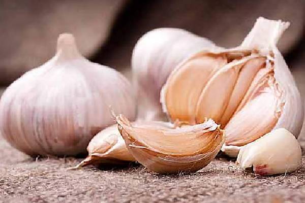 புற்றுநோயை எதிர்த்து போராடும் டாப் உணவுகள் இவைதானாம்! இனியும் தவிர்க்காதீங்க | Best Anti Cancer Foods List Help Lower Cancer Risk