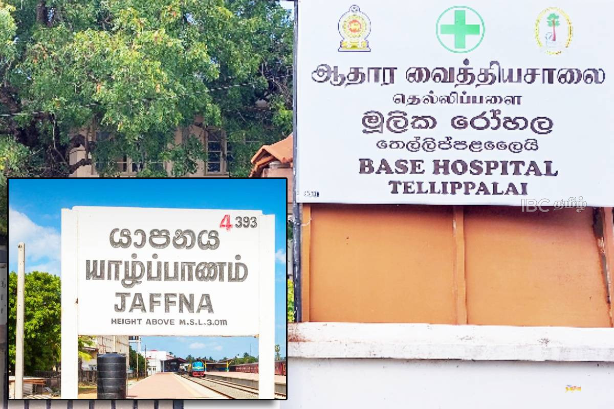 இளவாலை பகுதியில் மயக்கமுற்ற மாணவனுக்கு சிகிச்சையளிக்க தவறிய தாதியர்கள் | Ilavaalai School Student Unconscious இளவாலை பகுதியில் மயக்கமுற்ற மாணவனுக்கு சிகிச்சையளிக்க தவறிய தாதியர்கள் | Ilavaalai School Student Unconscious