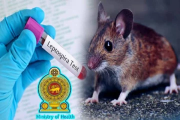 நாட்டில் தீவிரமாக பரவும் நோய் : சுகாதார அமைச்சின் அதிரடி நடவடிக்கை