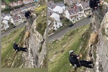 பிரிட்டனில் மலை இடுக்கில் சிக்கிய ஆட்டை காப்பாற்றிய நபர்