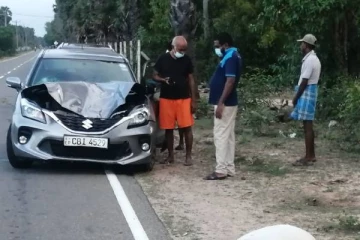 மட்டக்களப்பு பாசிக்குடா வீதியில் இடம்பெற்ற விபத்து: பசுமாடு பரிதாபமாக பலி!