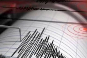 நியூசிலாந்தில் சக்திவாய்ந்த நிலநடுக்கம்; சுனாமி எச்சரிக்கை