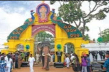 கதிர்காம கந்தனின் பூமியில் கஞ்சா பயிர்ச்செய்கை! சுற்றிவளைத்த இராணுவம்