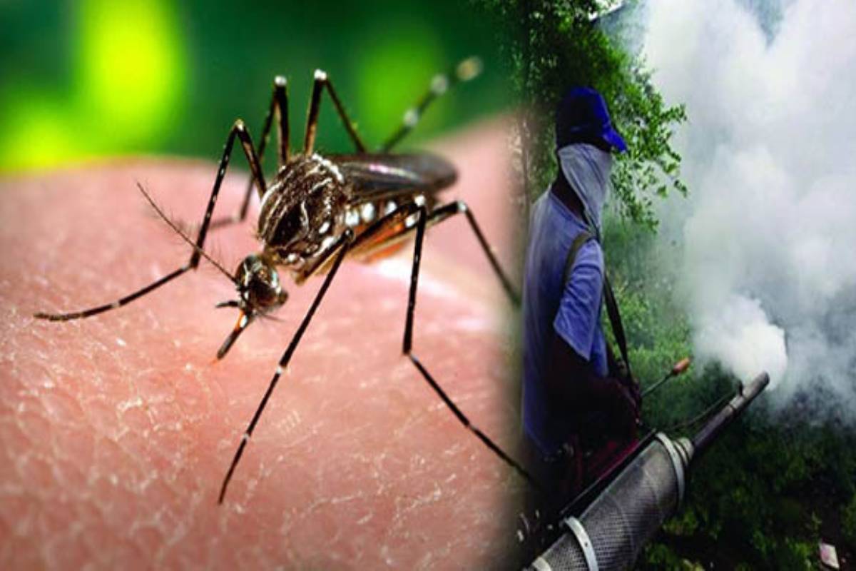 மட்டக்களப்பில் நுளம்பு பெருக்கம் அதிகரிப்பு- பொதுமக்களுக்கு விசேட அறிவுறுத்தல் | Mosquito Breeding Increases In Batticaloa