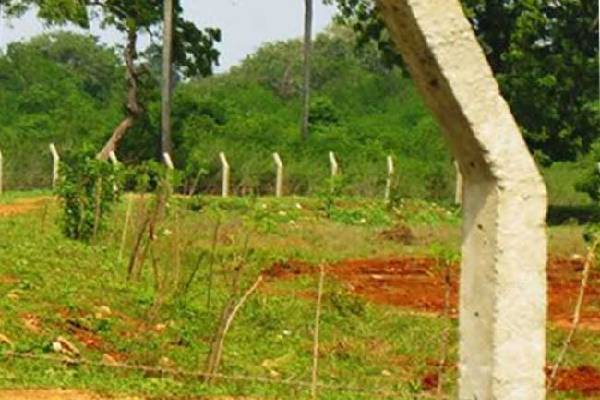 முல்லைத்தீவில் காணிகளற்று வாழும் பல குடும்பங்கள்: முன்வைக்கப்பட்ட கோரிக்கை | Lands Declared As Reserved Forests In Mullaitivu