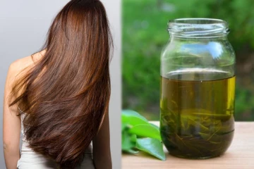 அசுர வேகத்தில் முடி வளர இந்த ஒரு இலையின் எண்ணெய் போதும்: எப்படி தயாரிப்பது?