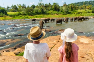 வெளிநாட்டு சுற்றுலாப் பெண் பயணிக்கு நேர்ந்த கொடூரம்