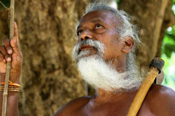யாழிற்கு முதல் முறையாக பயணம் செய்யவுள்ள ஆதிவாசிகள்! | Tribals Will Travel To Jaffna For The First Time