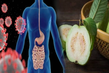 தினம் ஒரு கொய்யா சாப்பிட்டால்... இந்த பிரச்சினைகள் கிட்டவே வராது