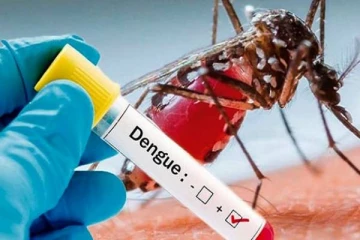 இலங்கையில் பதிவான டெங்கு நோயாளர்களின் எண்ணிக்கை