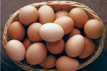 முட்டையில் இவ்வளவு நன்மைகளா? அவசியம் தெரிந்து கொள்ளுங்கள்!