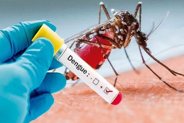 டெங்கு நோயாளிகளின் எண்ணிக்கை அதிகரிக்கும்! சுகாதாரத்துறை விடுத்துள்ள எச்சரிக்கை | Dengue Prevalence Warning In Sri Lanka